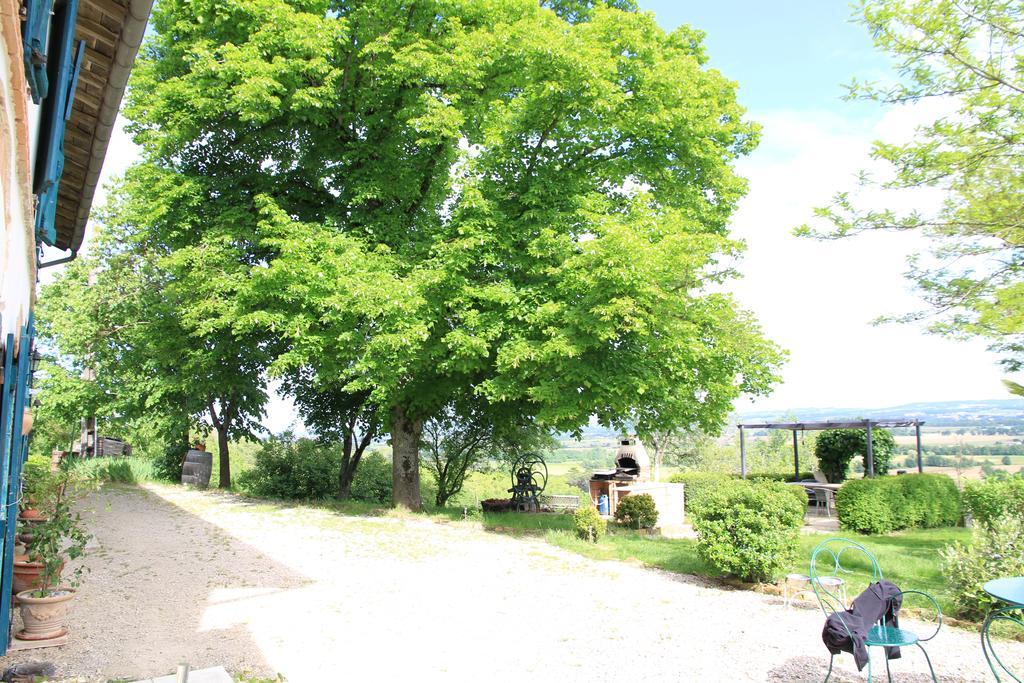La Pigario Bed and Breakfast Lisle-sur-Tarn Eksteriør billede